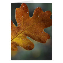Leaf Leaves Card