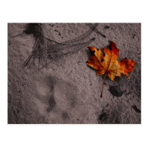Leaf Next to Footprint Postcard
