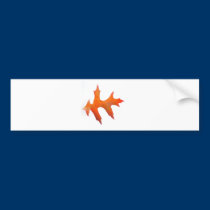 Leaf on a white background bumper stickers