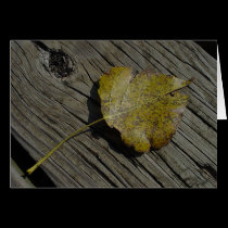 Leaf on Bridge Plank greeting card cards