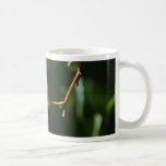 Leaf On Tree In Yosemite Park Coffee Mug