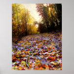 Leaf Path Print