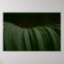 Leaf Posters