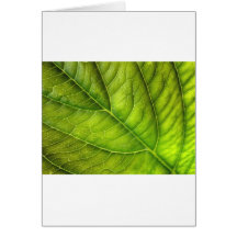 leaf texture greeting cards