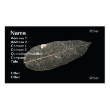 Leaf's veins business cards