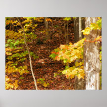 Leafy Floor Poster