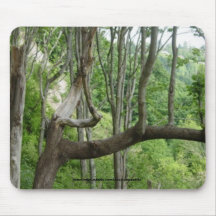 Leaning Tree Mouse Pads