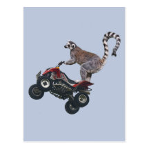 Leaping Lemur Postcard