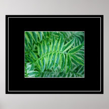 Leaves After The Rain Poster