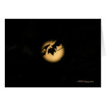 Leaves By The Light Of the Moon Card