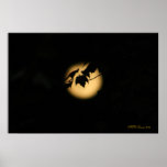 Leaves By the Light of the Moon Print