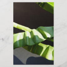 Leaves. Flyers