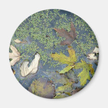 Leaves in the water magnet