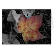 Leaves with selective colour card