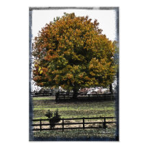 Leaving Soon Photo/ Wall Decor