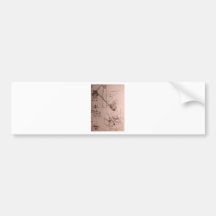 Leonardo da Vinci, drawings of machines Bumper Sticker