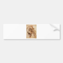 Leonardo Woman Head Bumper Sticker