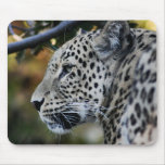 Leopard - Animal Mousepad