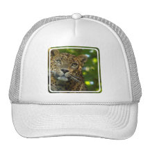 Leopard Baseball Hat