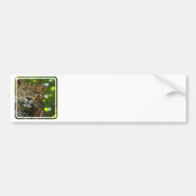 Leopard Bumper Sticker