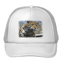 Leopard Cat Baseball Hat