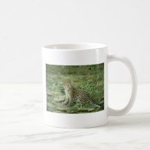 leopard cub coffee mugs