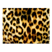 Leopard Fur Post Card