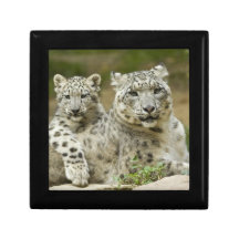 Leopard Gift Box