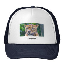 Leopard Hats