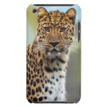 Leopard iPod Case-Mate Case