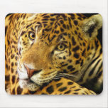 Leopard Macro Portrait Mouse Pad