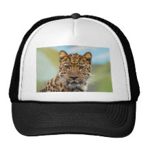 Leopard Mesh Hats