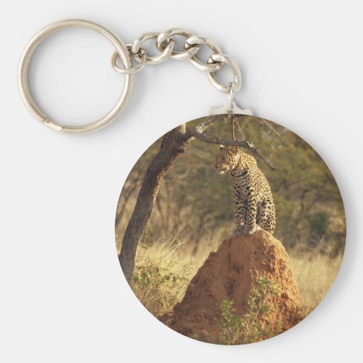 Leopard on Termite Mound in Namibia Key Chain