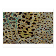 Leopard Print Collection Postcard