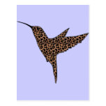 Leopard Spots Hummingbird Postcard
