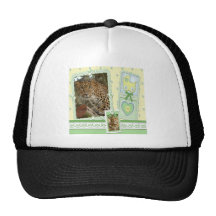 Leopard St. Patrick's Apparel Hat