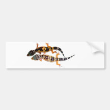 Leopardgecko Pärchen Autosticker