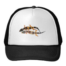 Leopardgecko Pärchen Trucker Cap