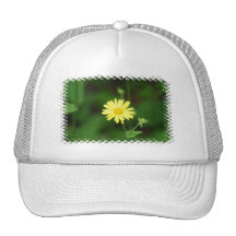 Leopards Bane Flowers Baseball Hat