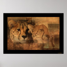 Leopards Print