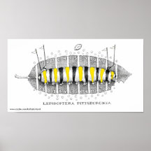 Lepidoptera Pittsburghia-Zazzle, www.zazzle.com... Print