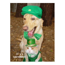 Leprechaun Sighting! Post Cards