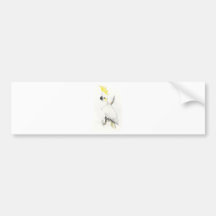 Lesser Sulphur-Crested Cockatoo by Edward Lear Bumper Stickers