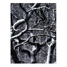 Let It Snow Postcard