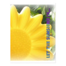 Let The Sunshine In Postcards