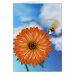 Let's do lunch! Greeting Card