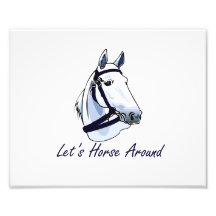 Lets Horse Around Arabian Blue Halter Photo Art