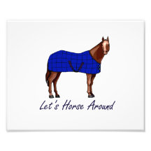 Lets Horse Around Brown w Blue Blanket Photograph