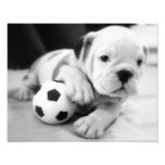 Let's Play Soccer!  English Bulldog Puppy Art Photo
