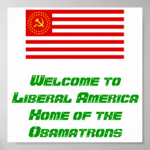 Liberal America Poster
